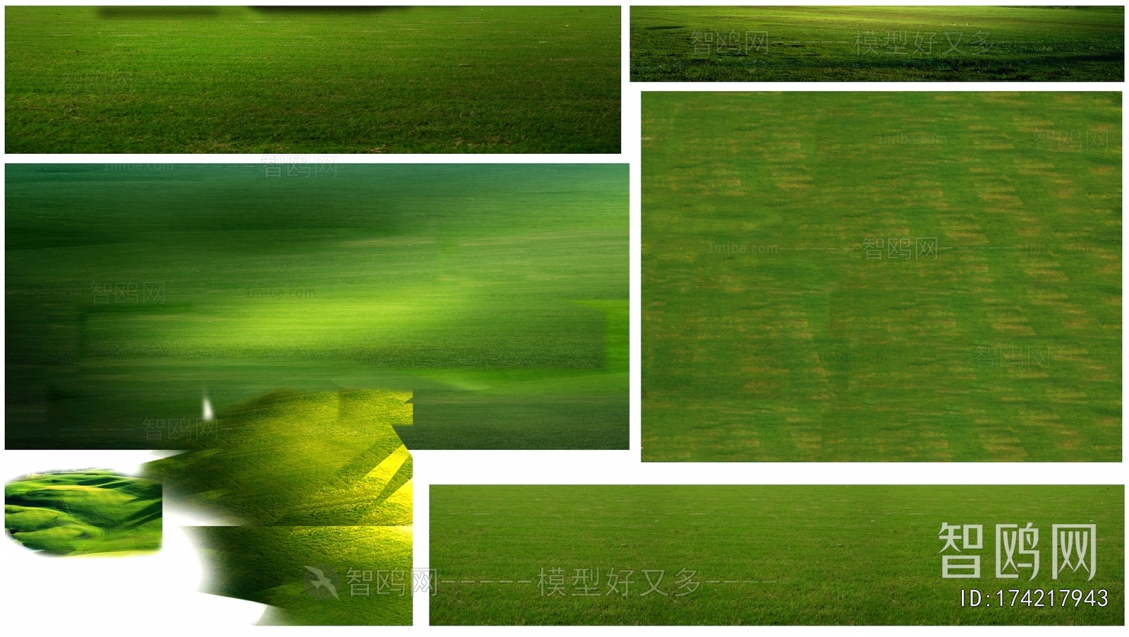 Grass