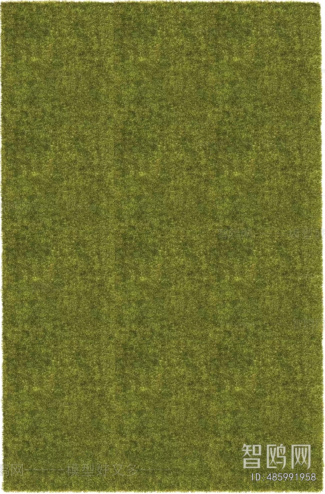 Grass