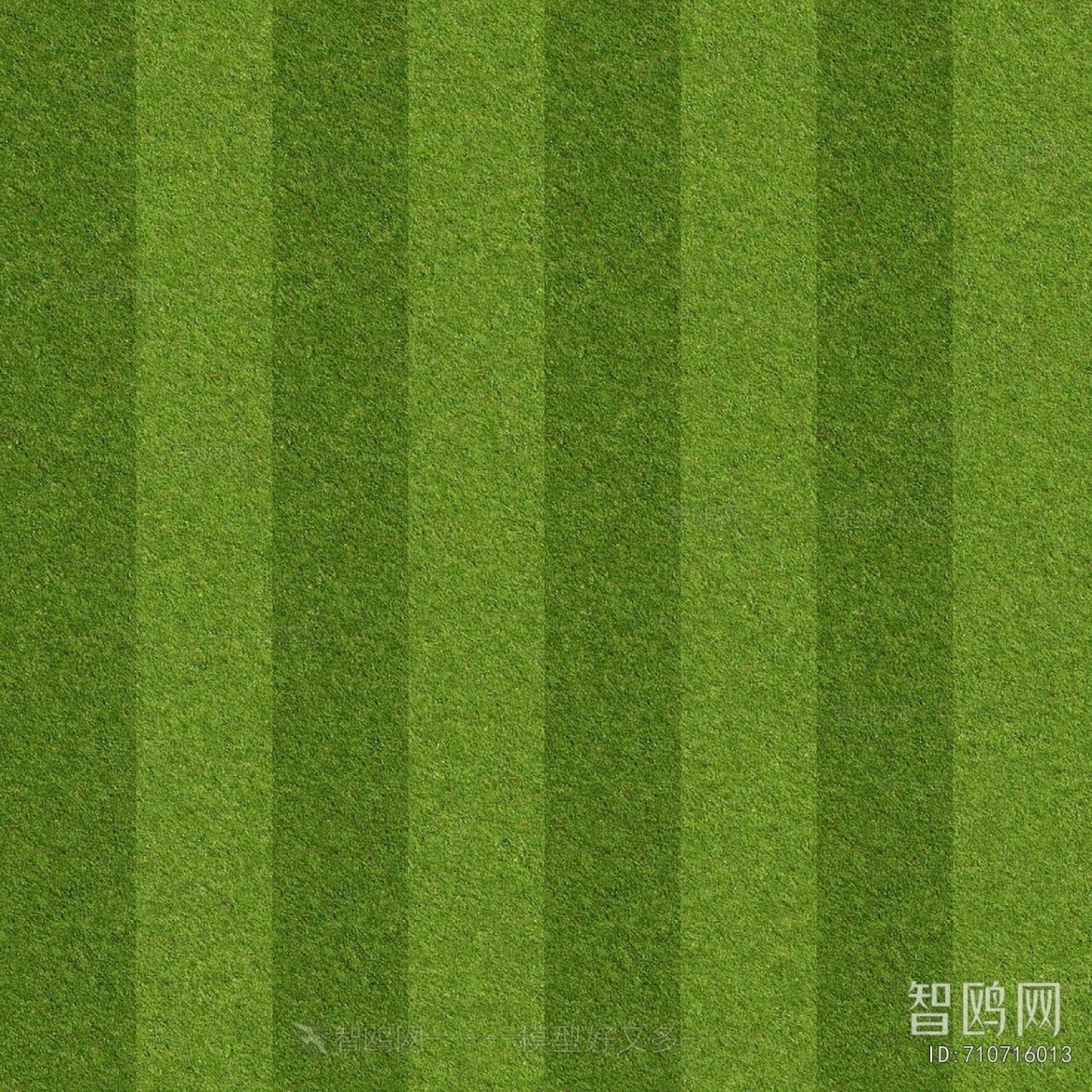 Grass
