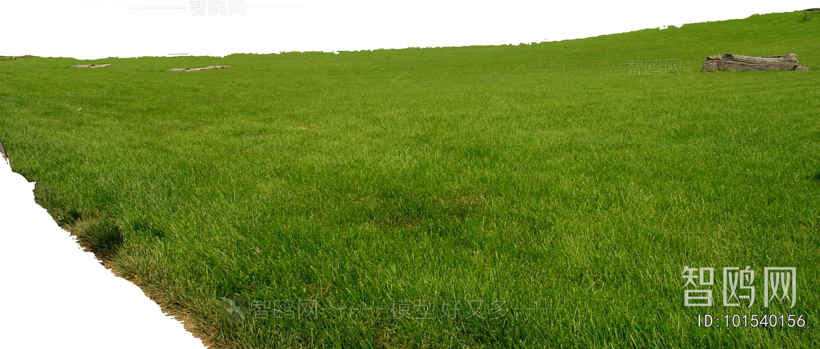 Grass