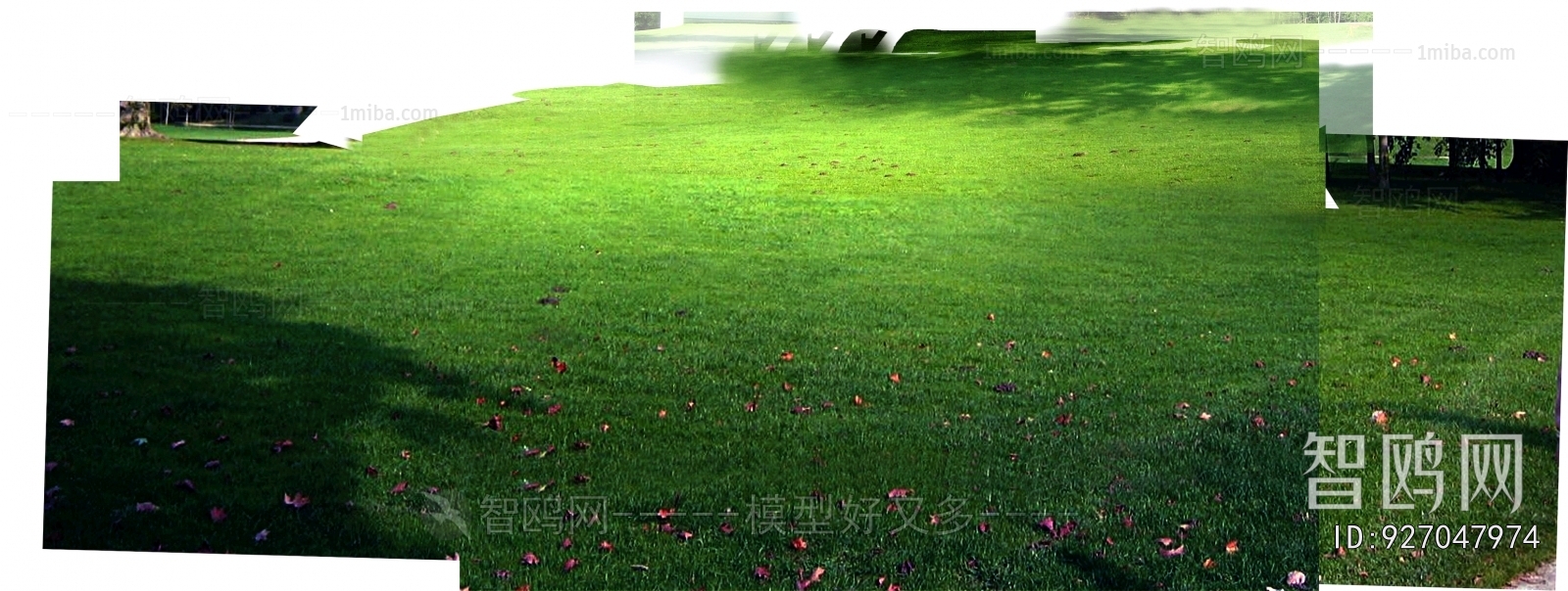 Grass