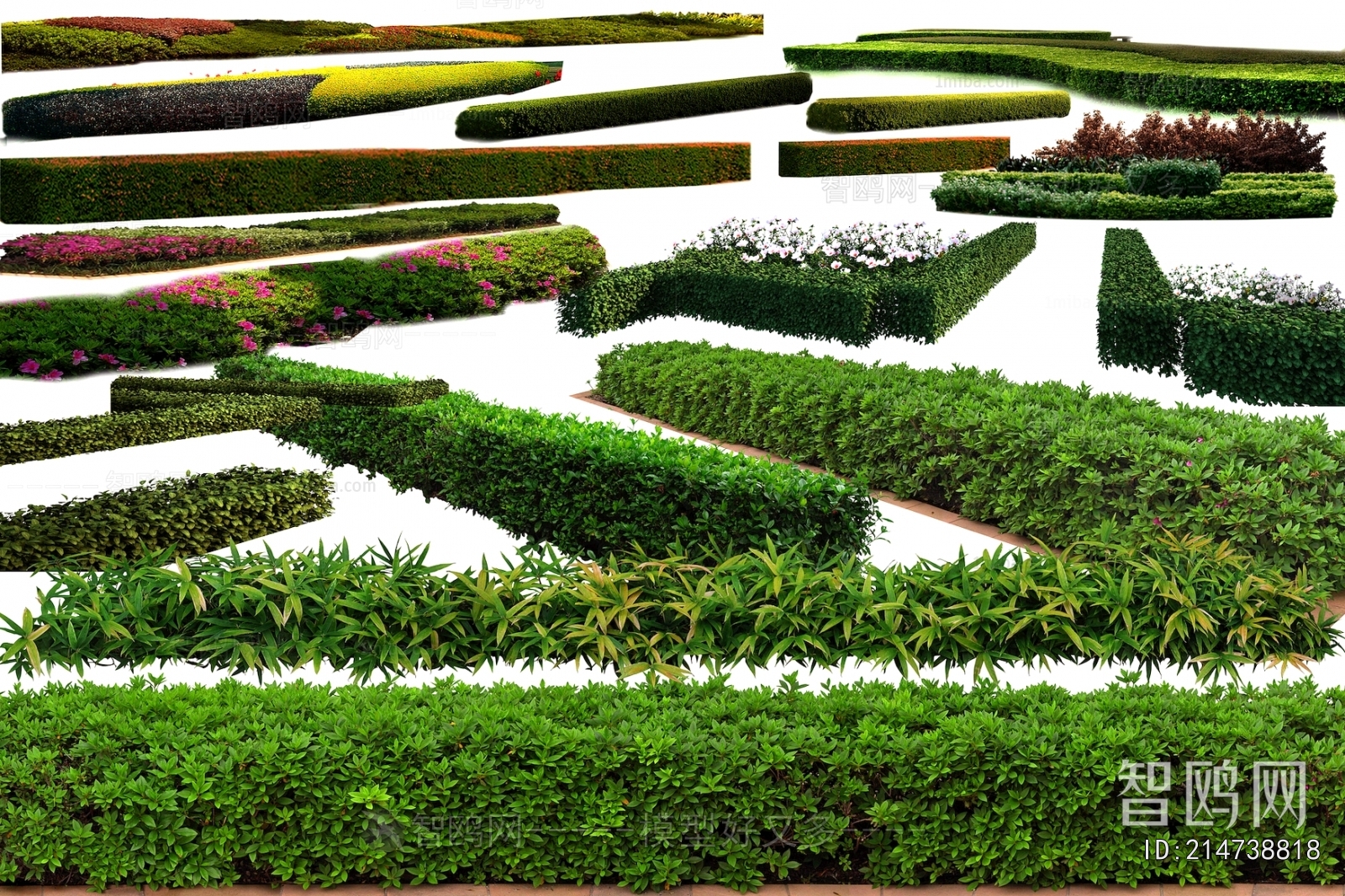 Grass