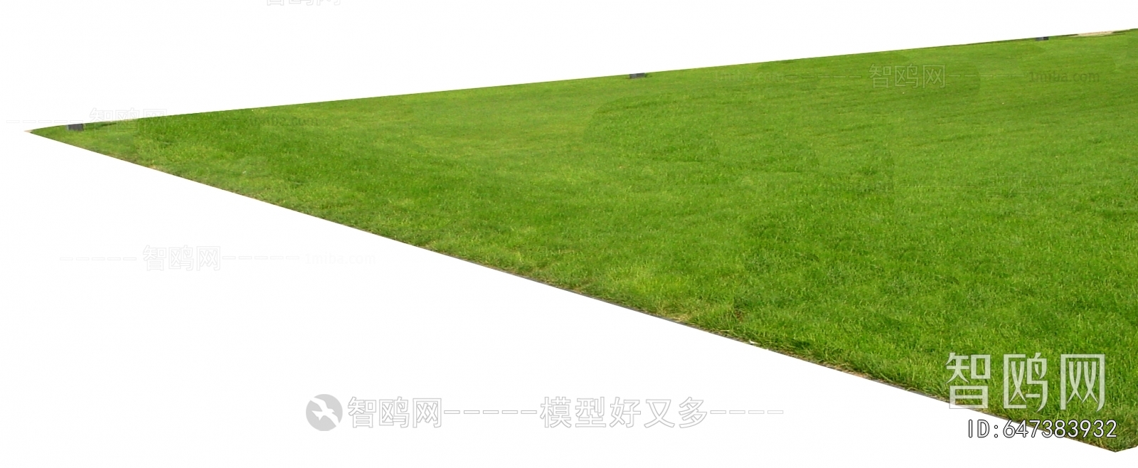 Grass