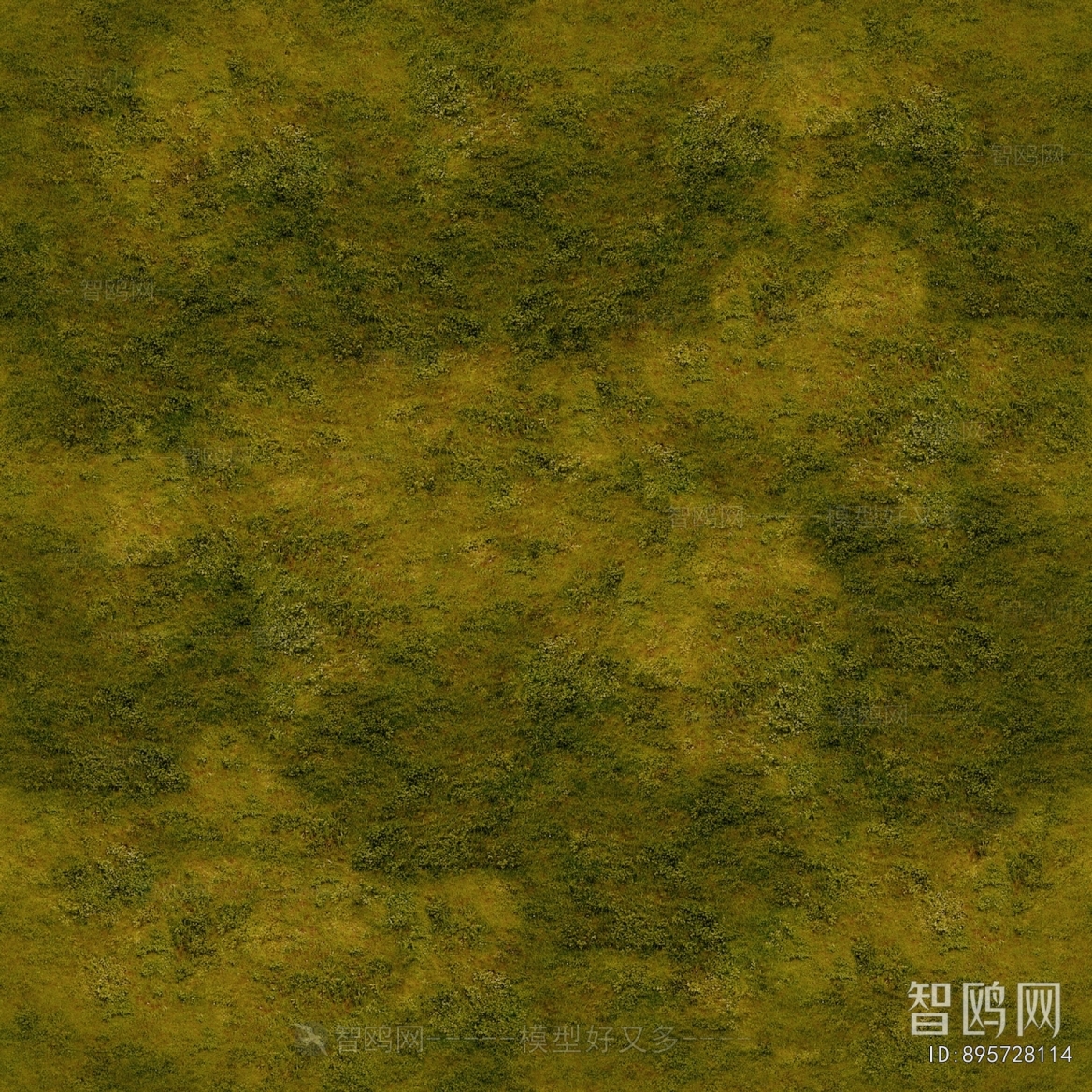 Grass