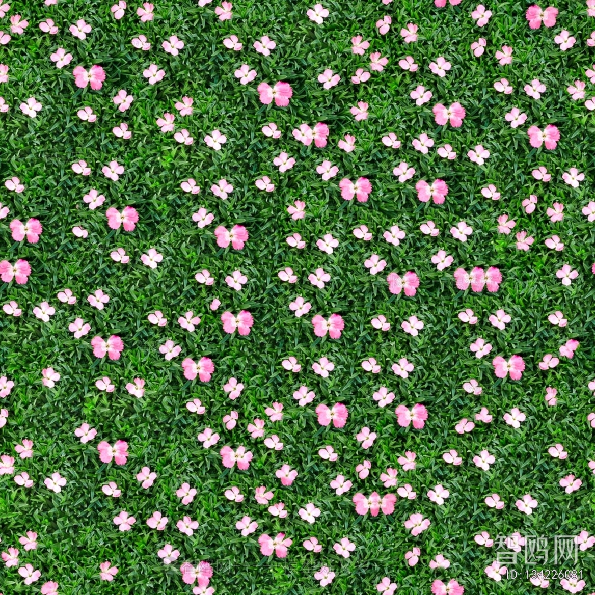 Grass