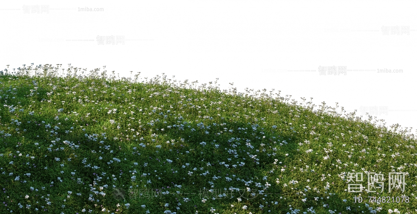 Grass