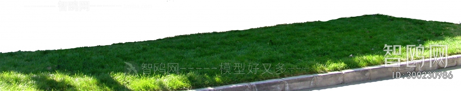 Grass