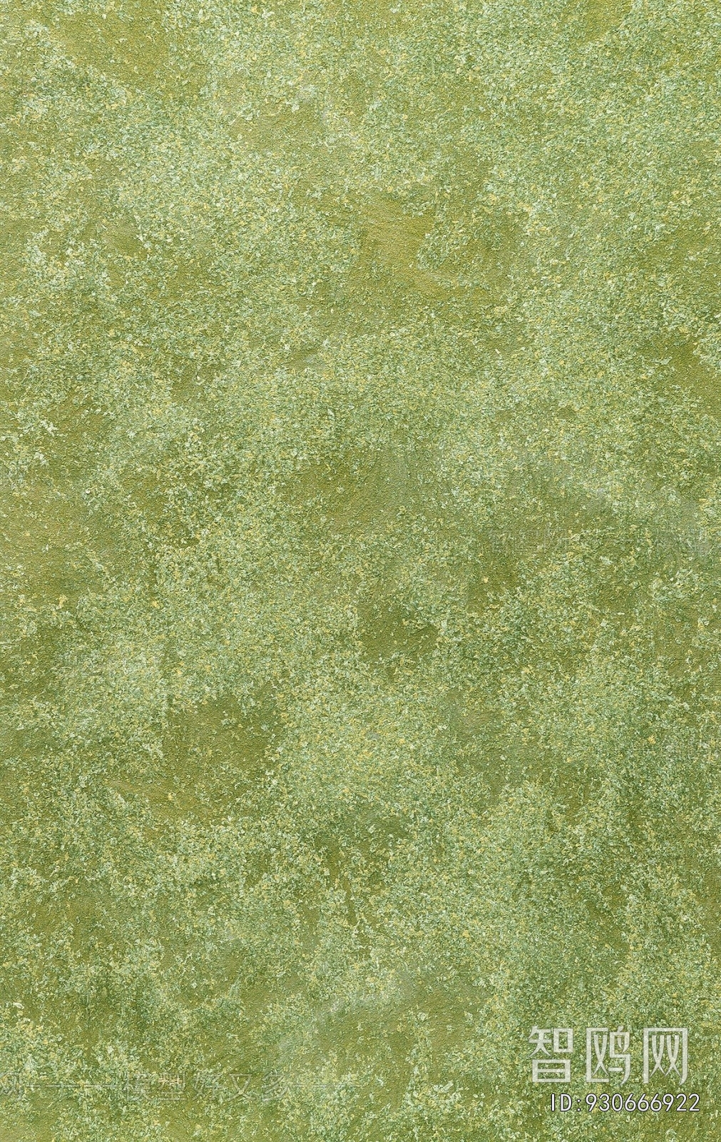 Grass