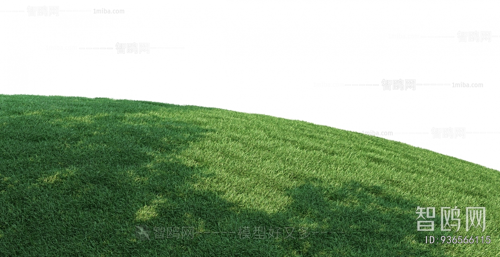 Grass