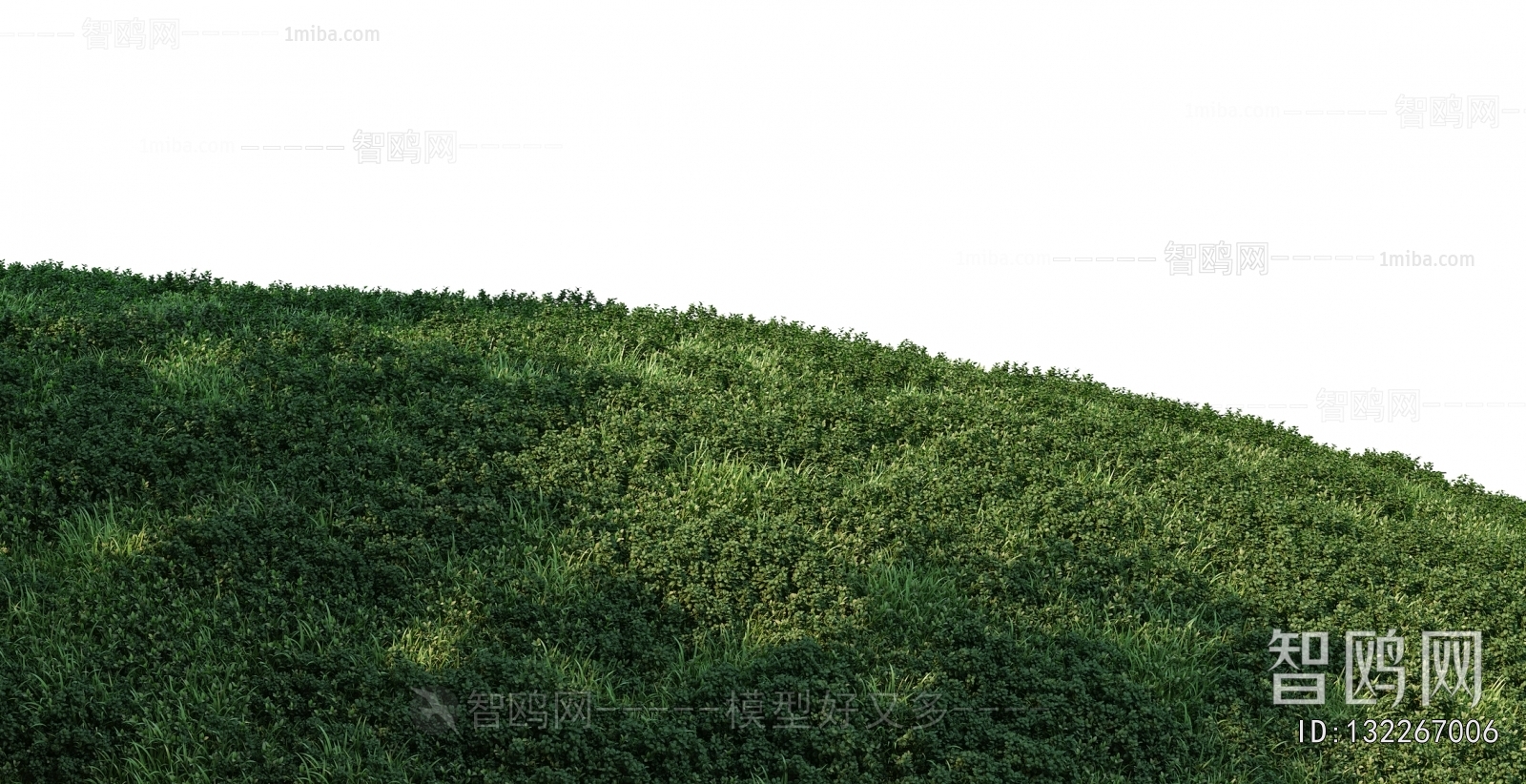 Grass