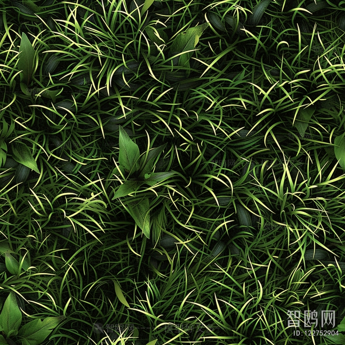 Grass