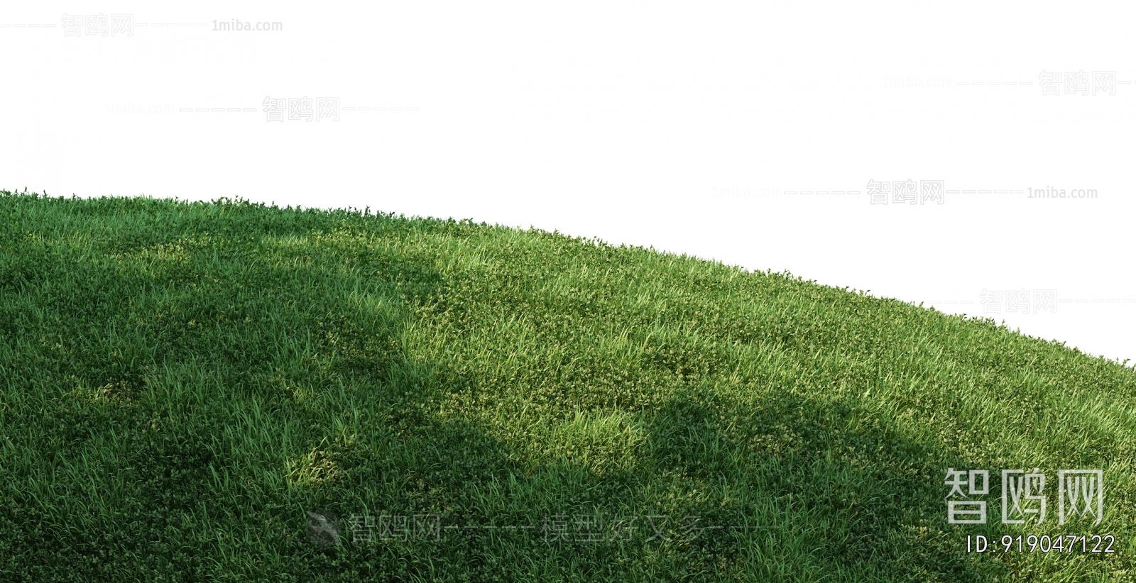 Grass