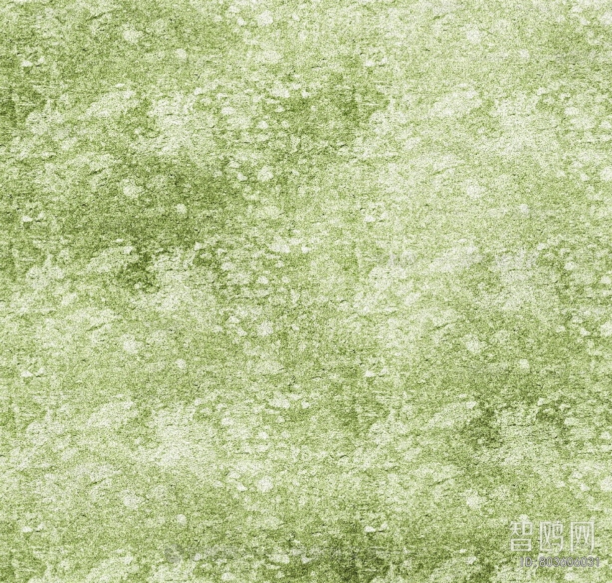 Grass