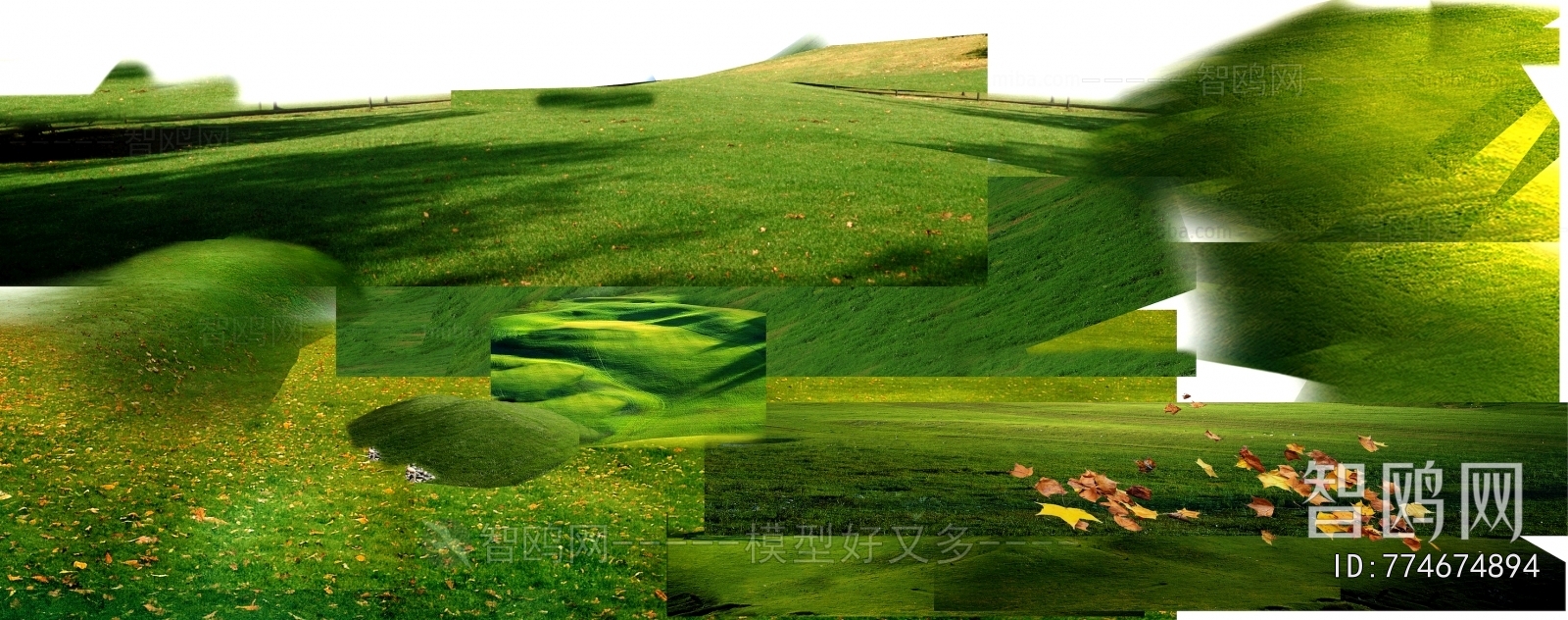 Grass