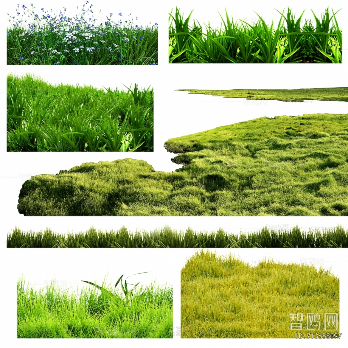 Grass