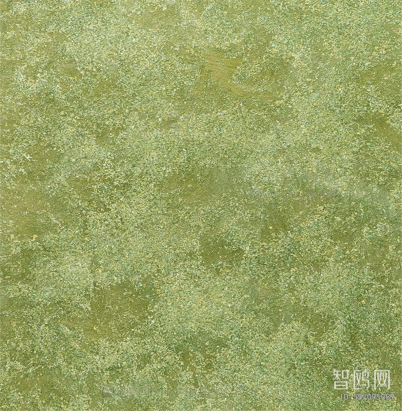 Grass