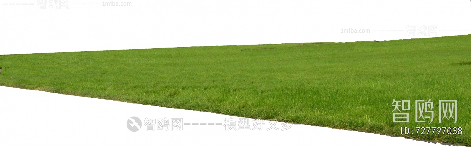 Grass