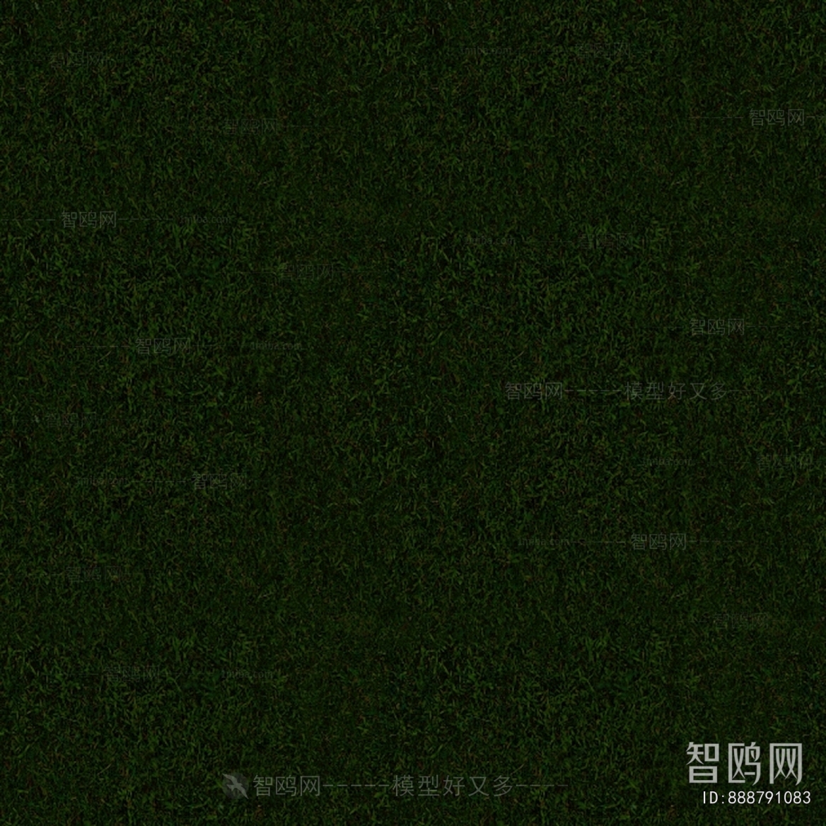 Grass