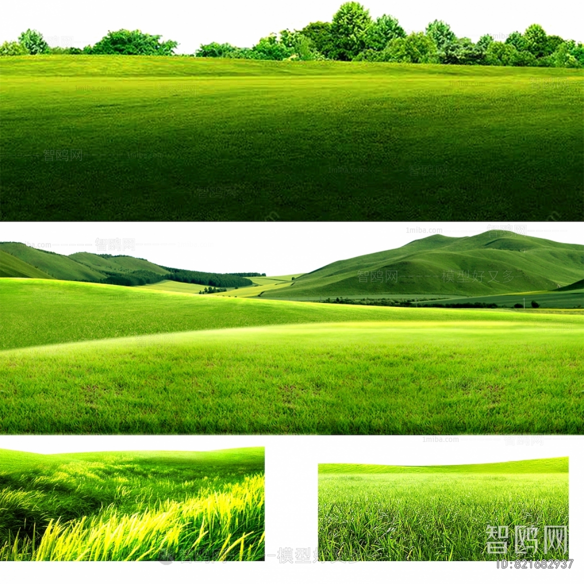 Grass