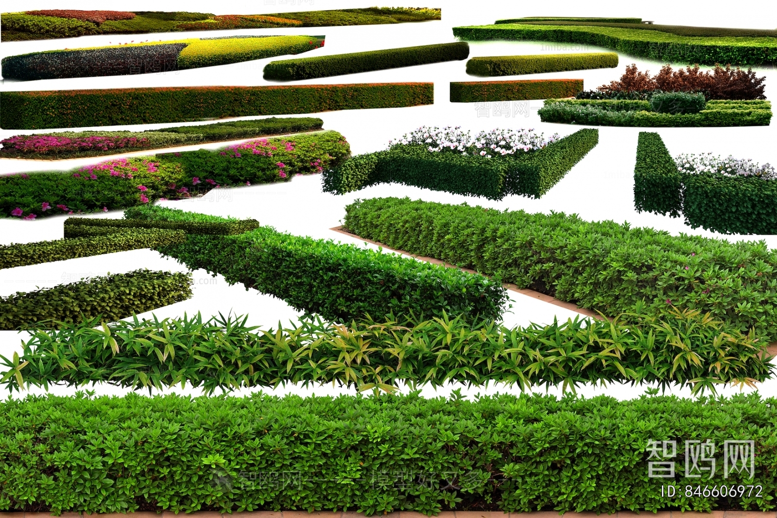 Grass