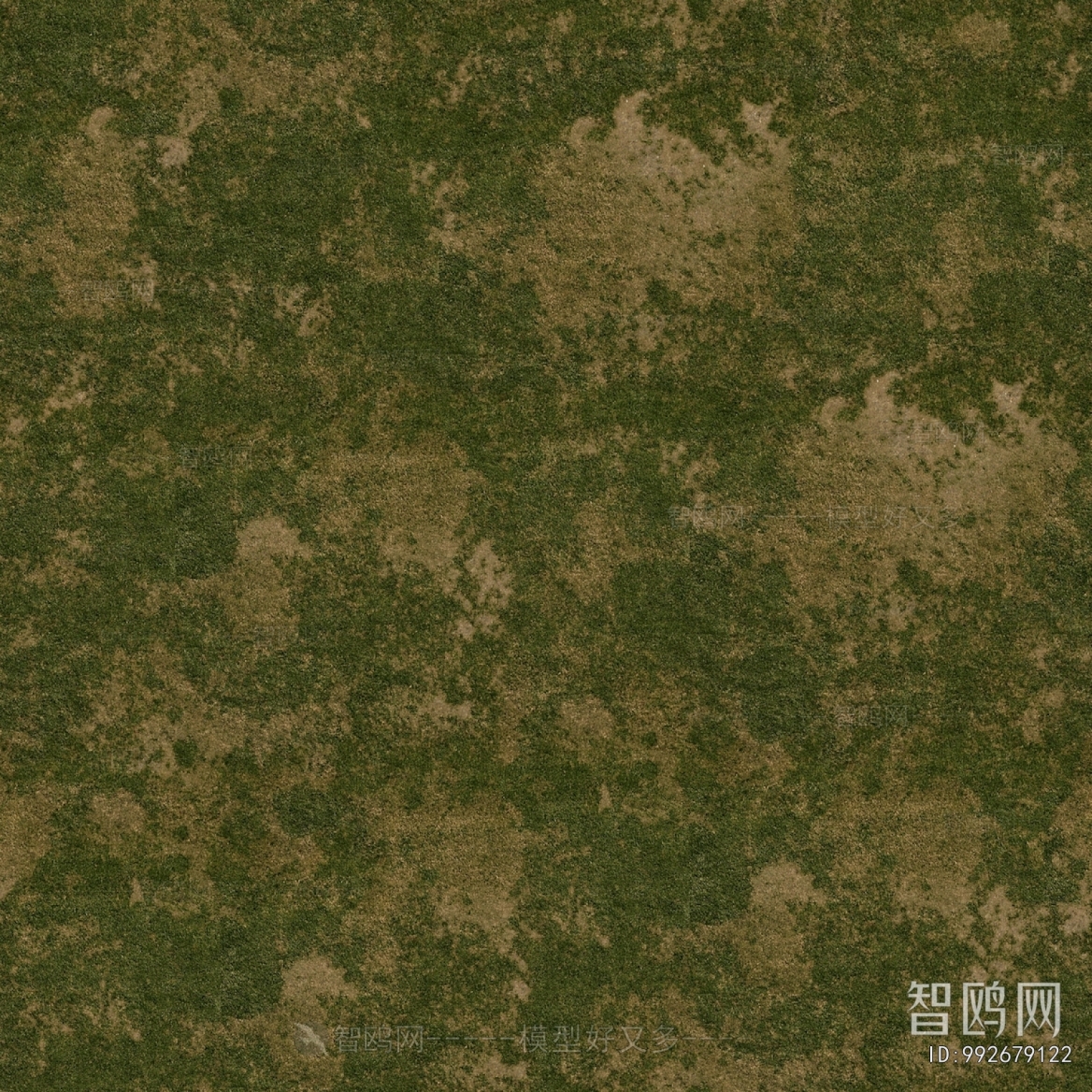 Grass