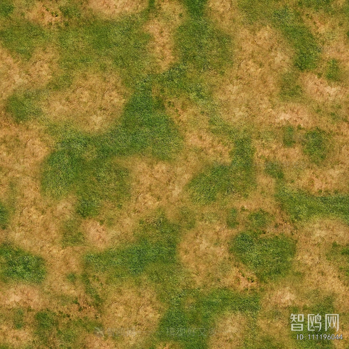 Grass