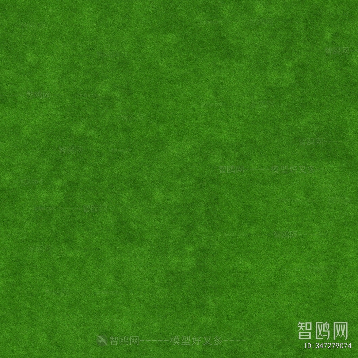 Grass