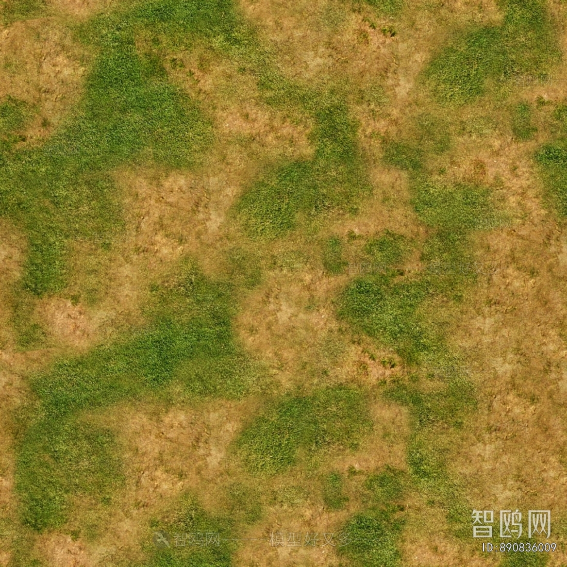 Grass