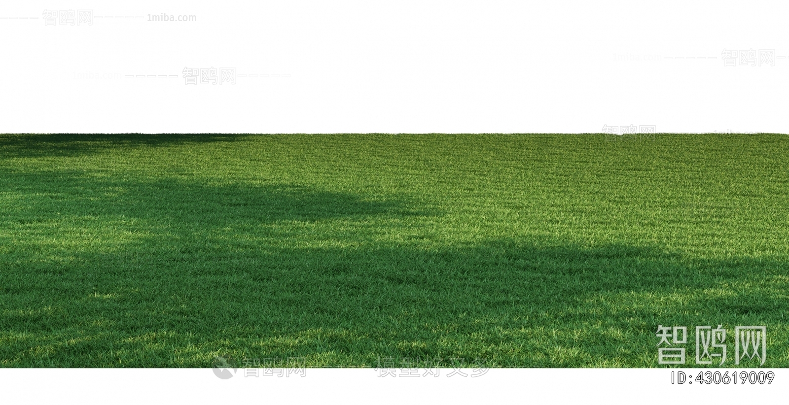 Grass