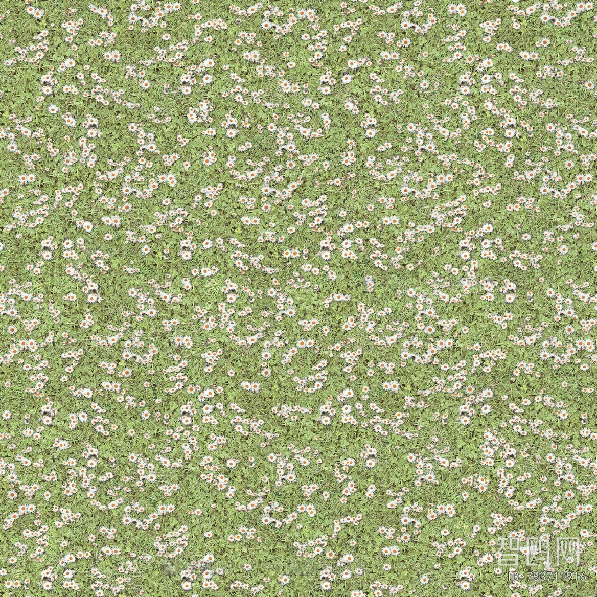 Grass