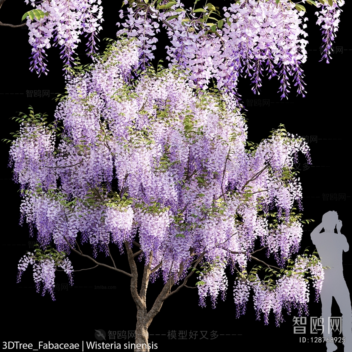 Modern Vine