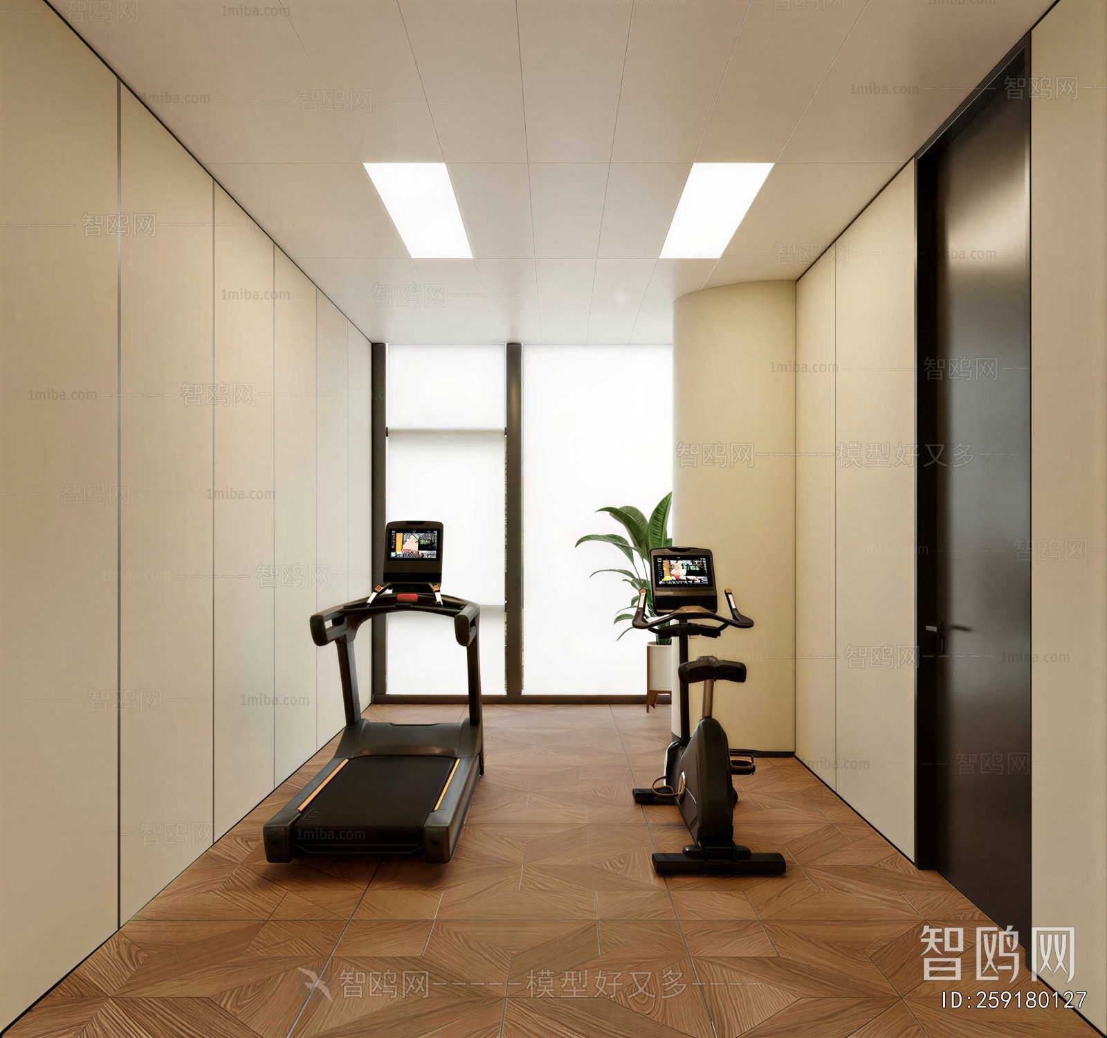Modern Home Fitness Room