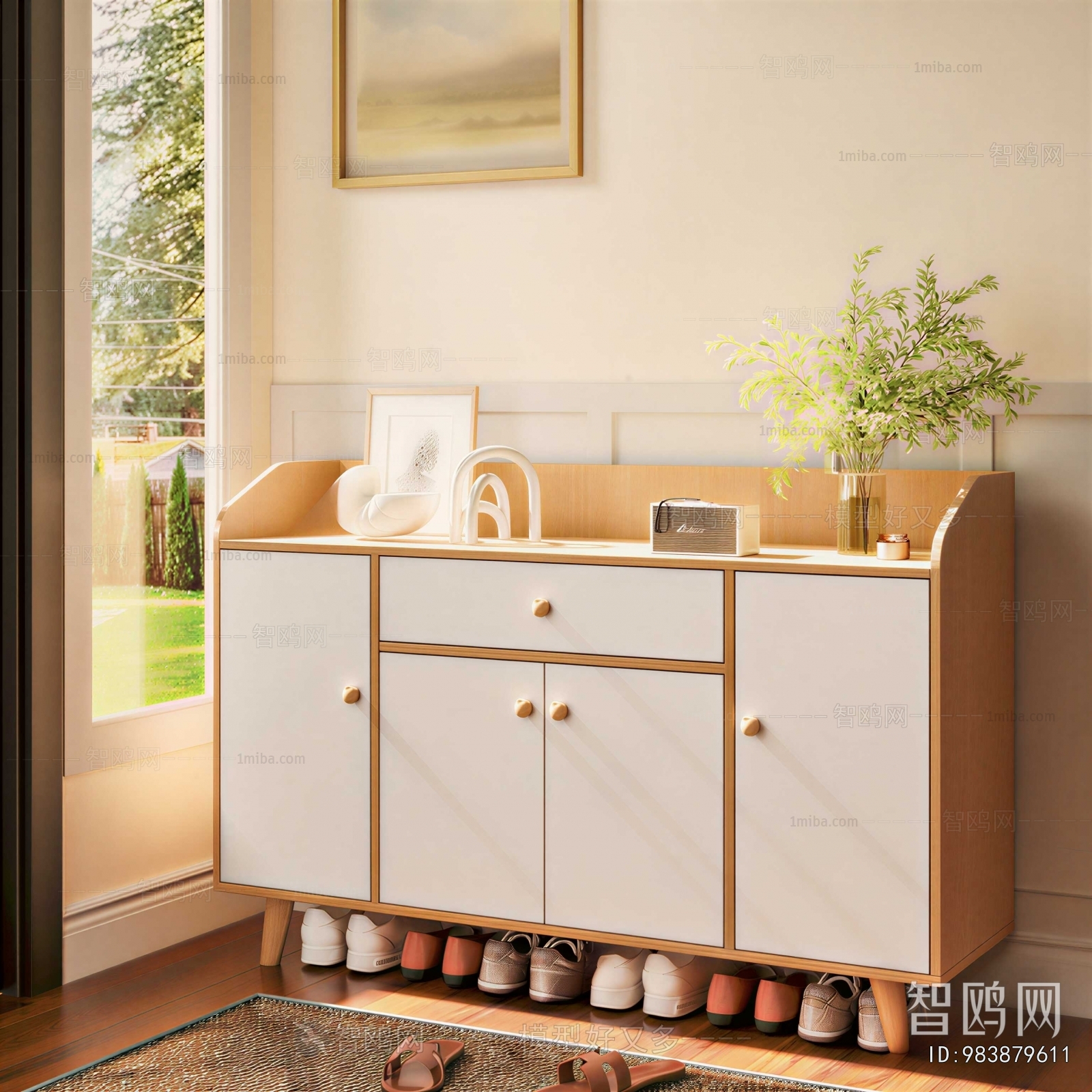 Modern Shoe Cabinet