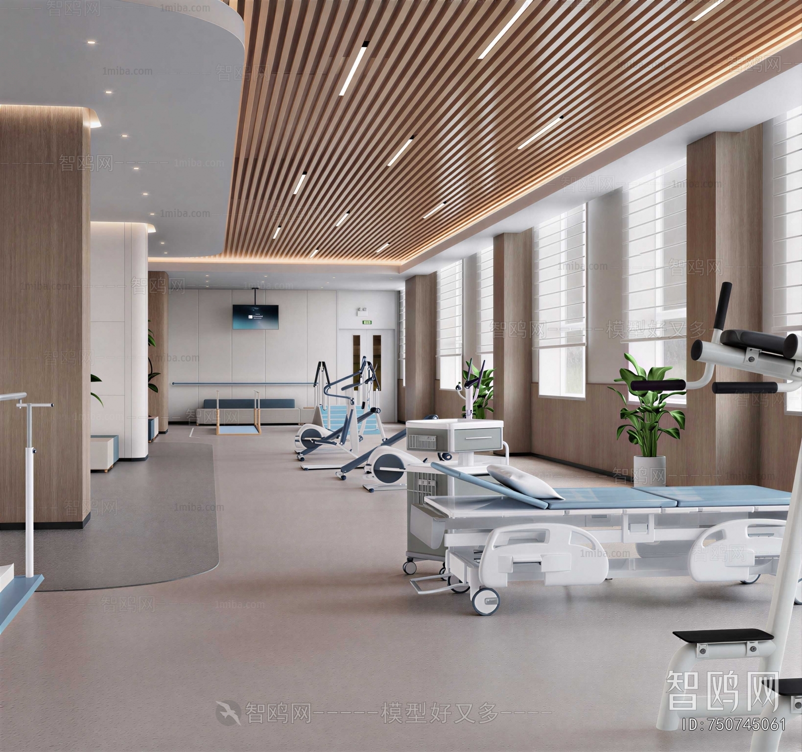 Modern Hospital Hall