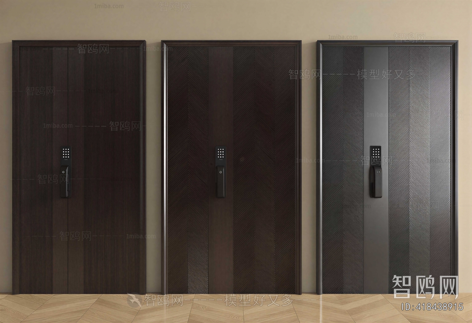 Modern Entrance Door