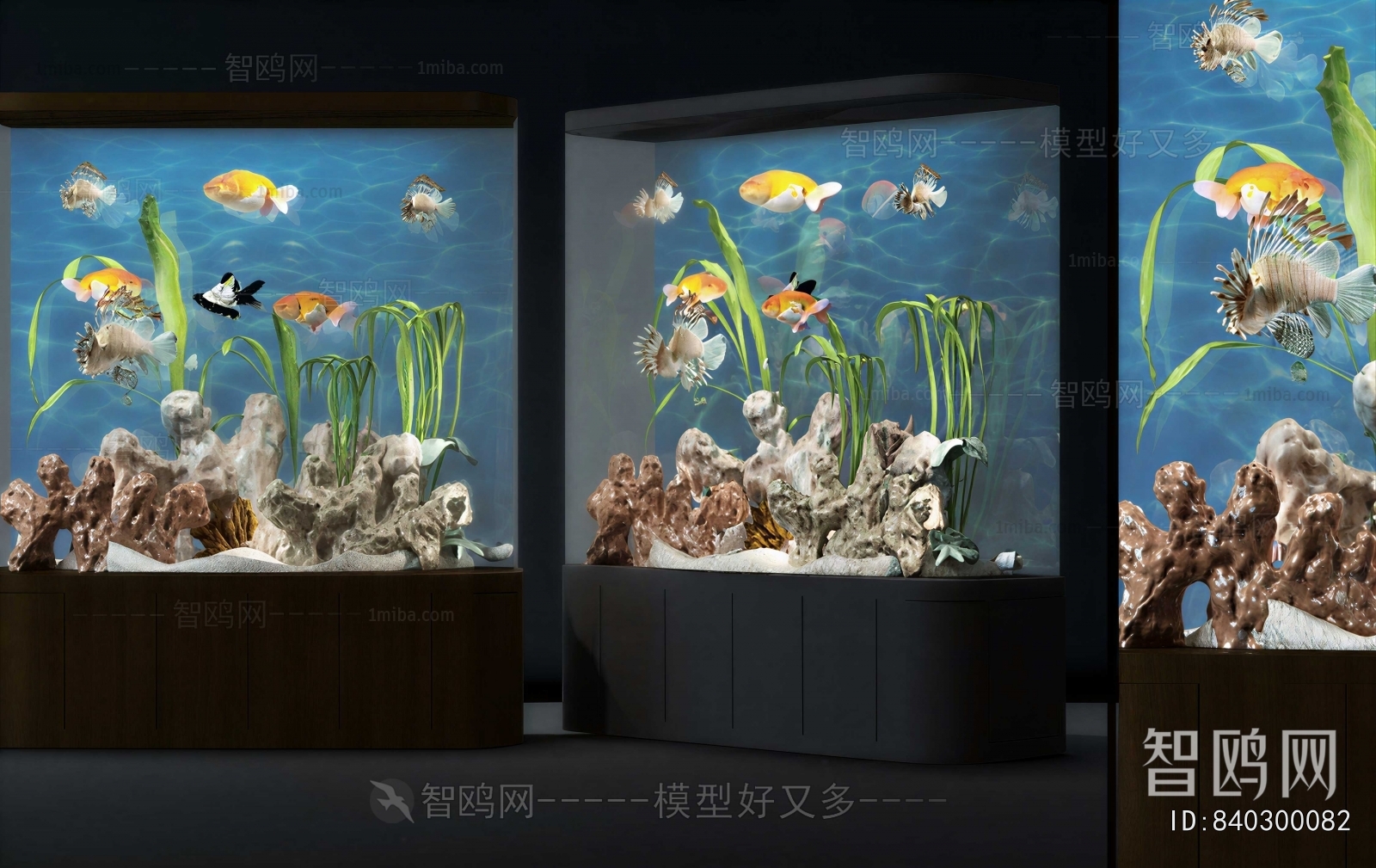 Modern Fish Tank