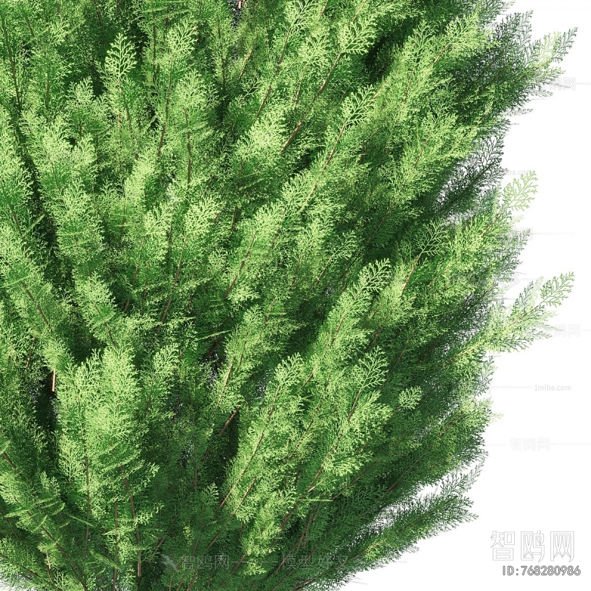 Modern Tree