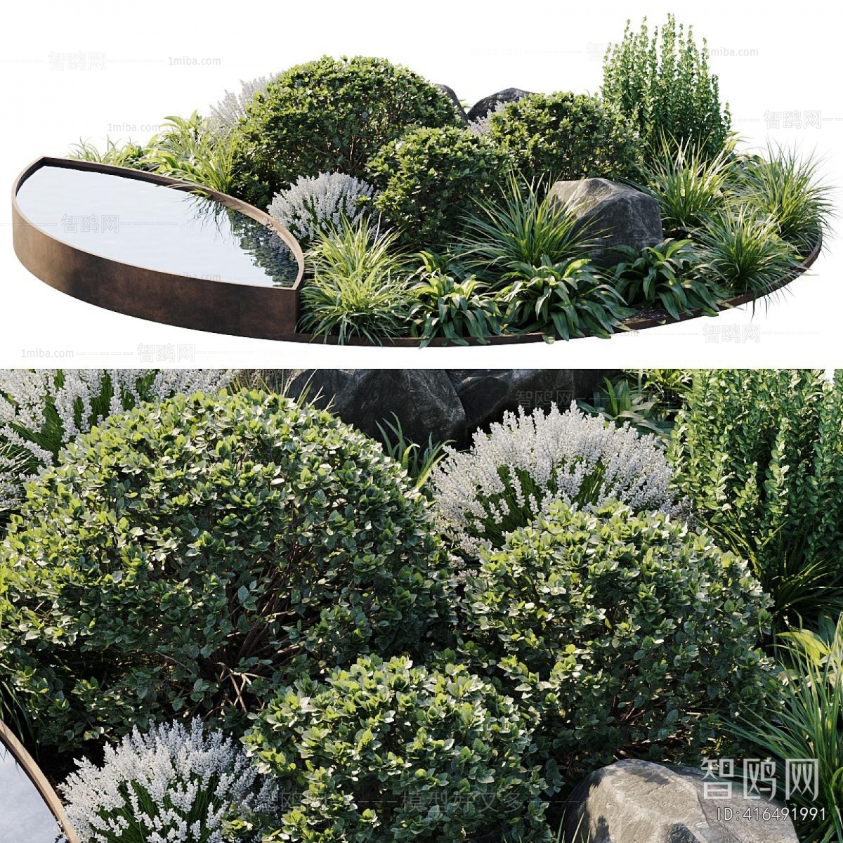 Modern Plant Landscaping