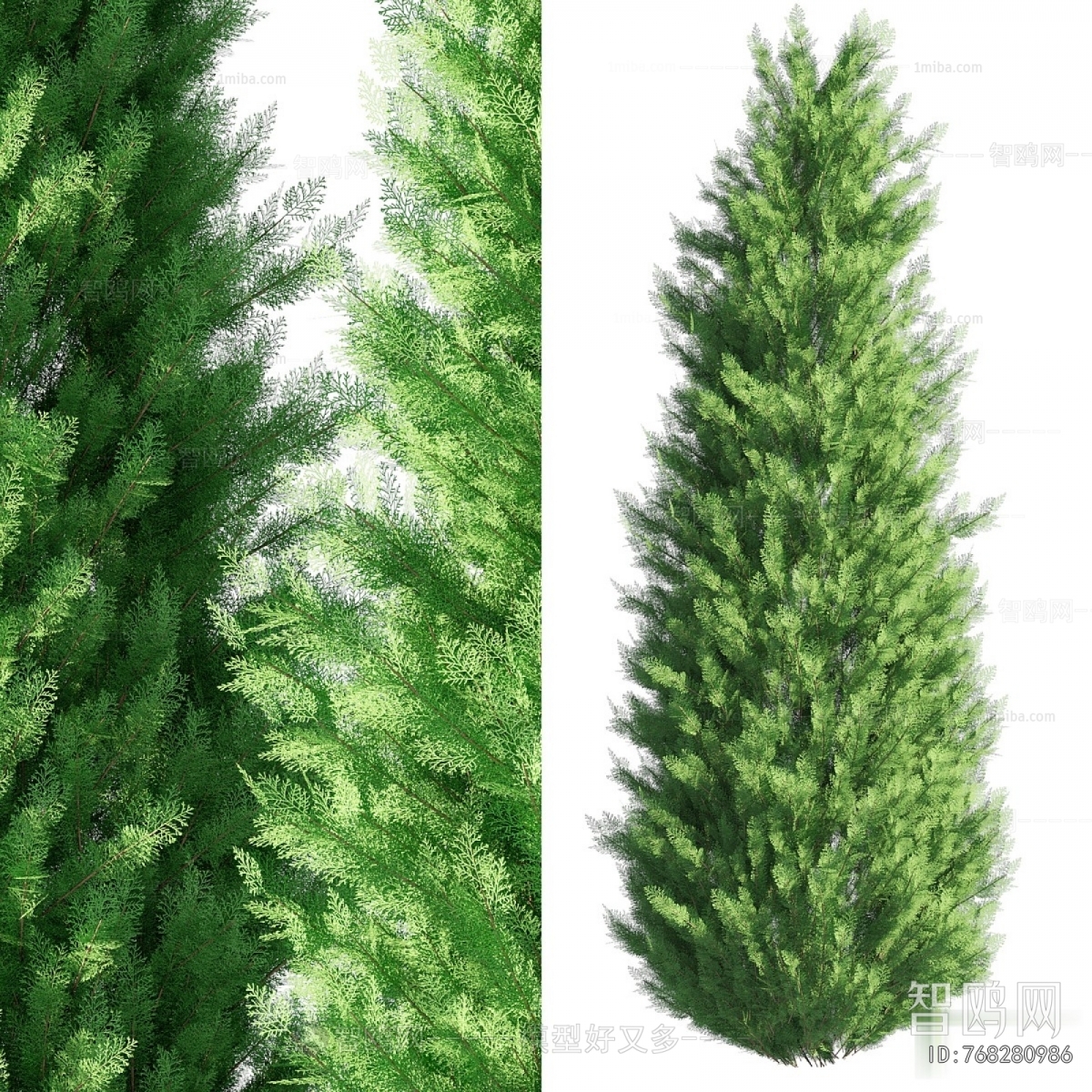 Modern Tree