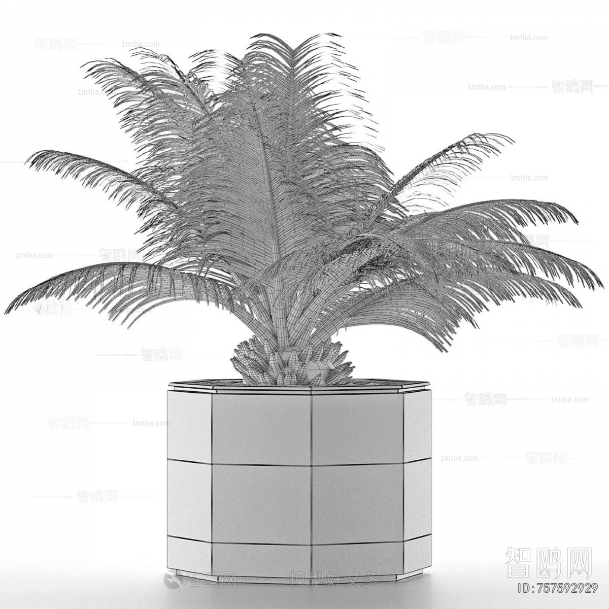 Modern Potted Green Plant