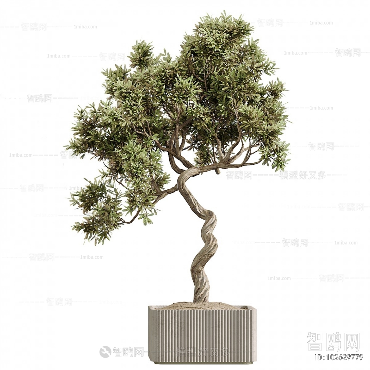 Modern Ground Green Plant Potted Plants