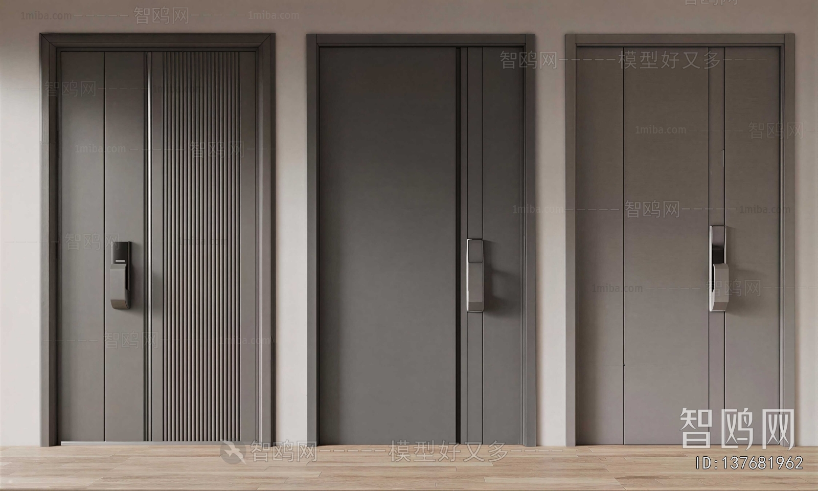 Modern Entrance Door