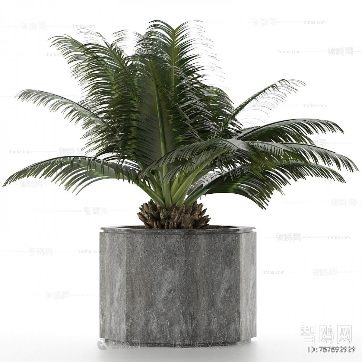 Modern Potted Green Plant