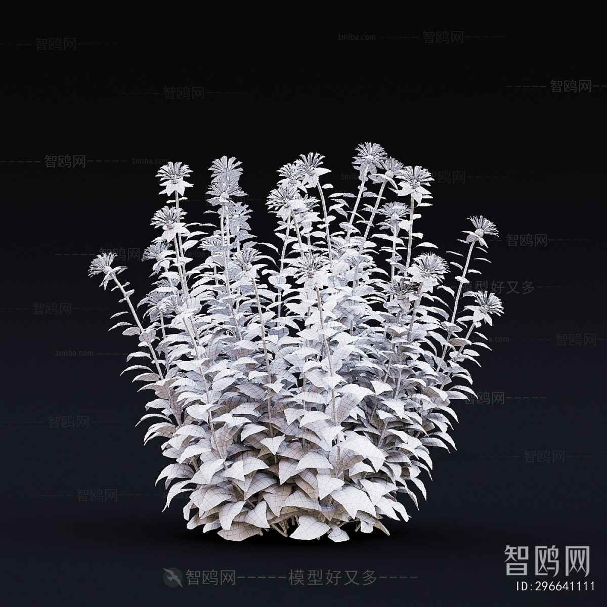 Modern Flowers And Grass