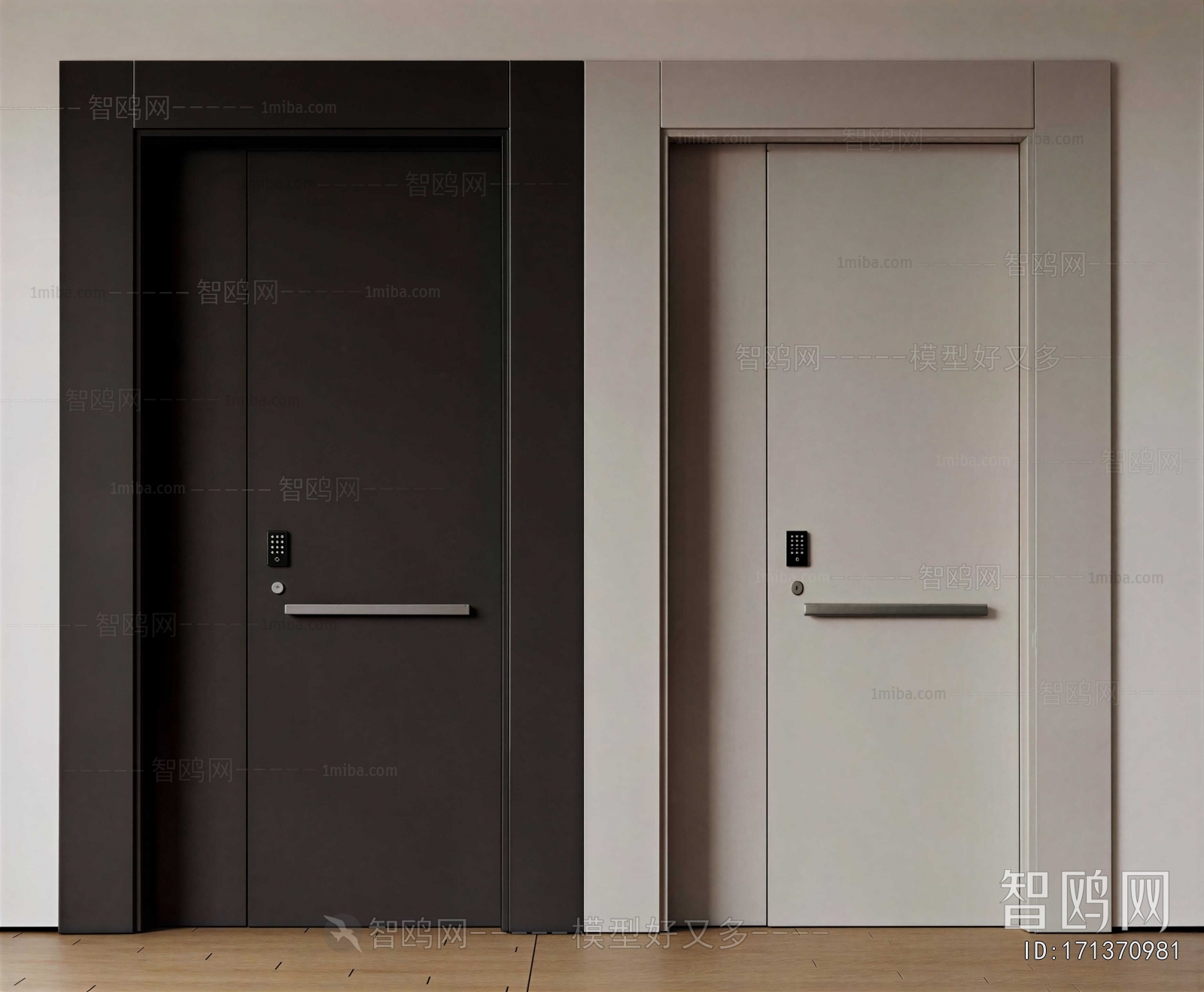 Modern Entrance Door