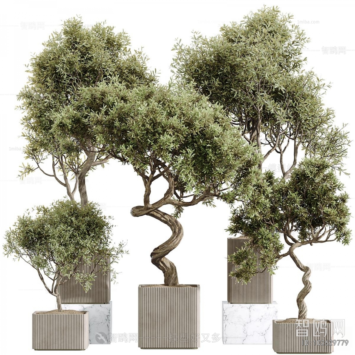 Modern Ground Green Plant Potted Plants