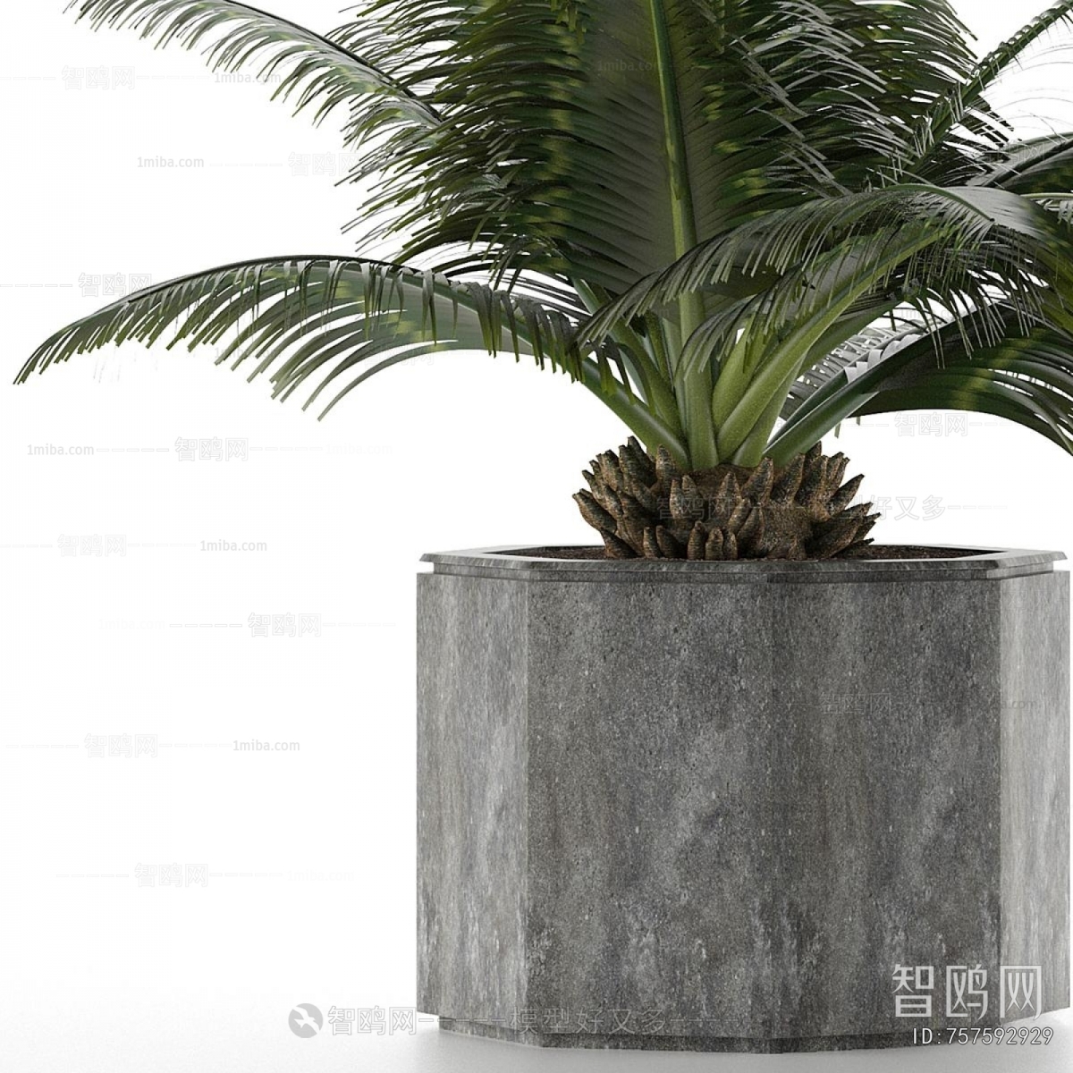 Modern Potted Green Plant