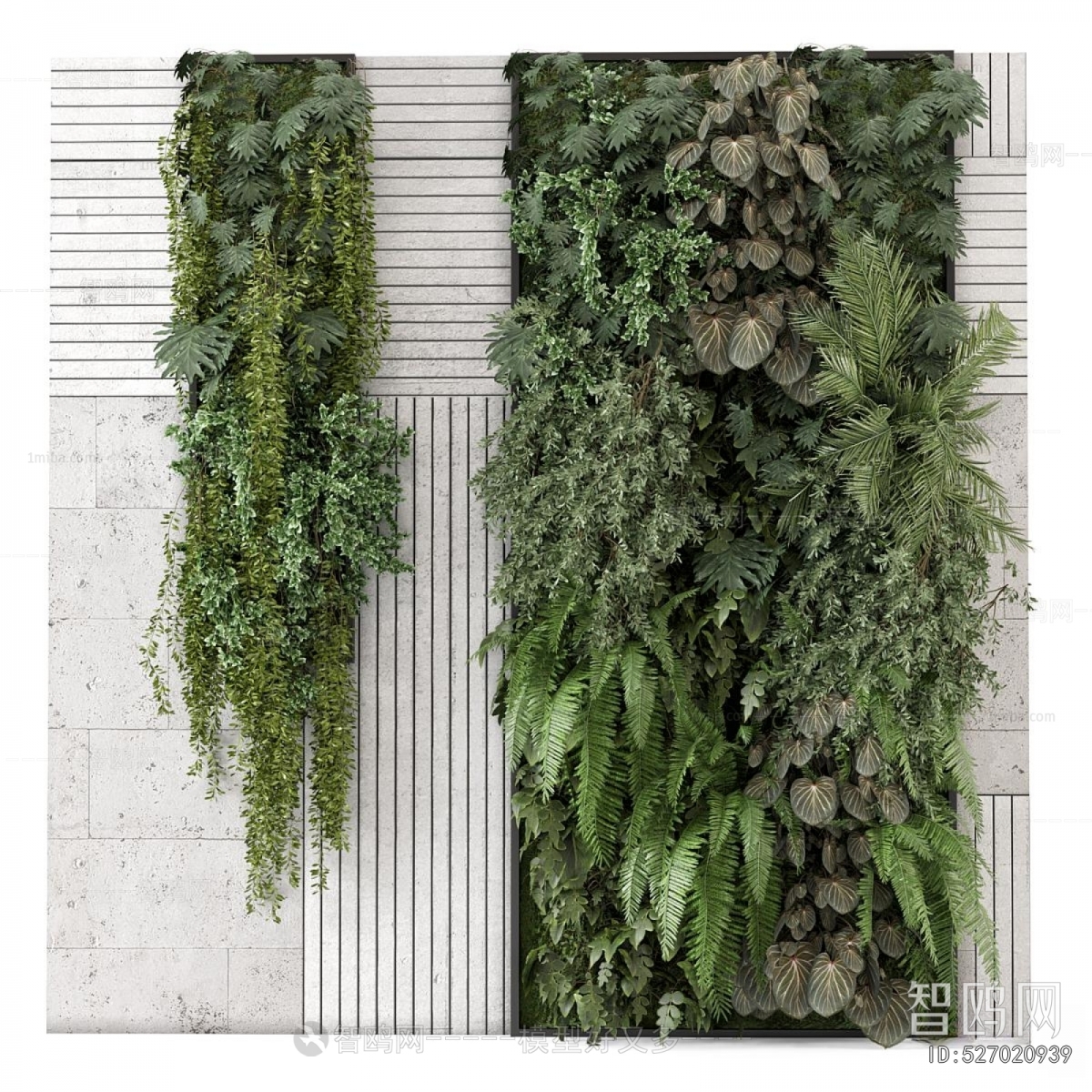 Modern Plant Wall