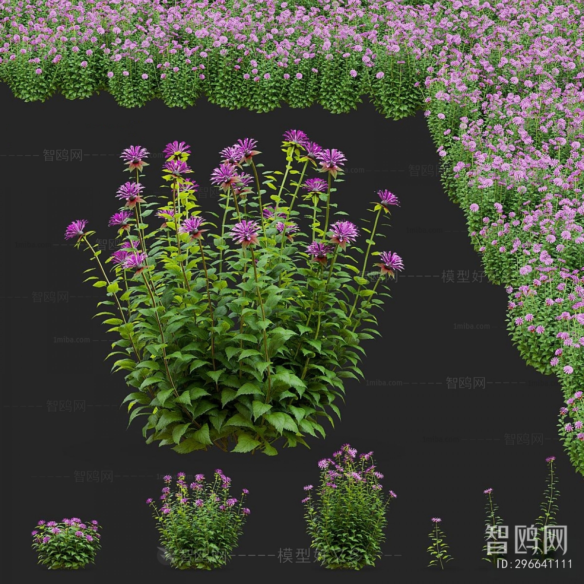 Modern Flowers And Grass