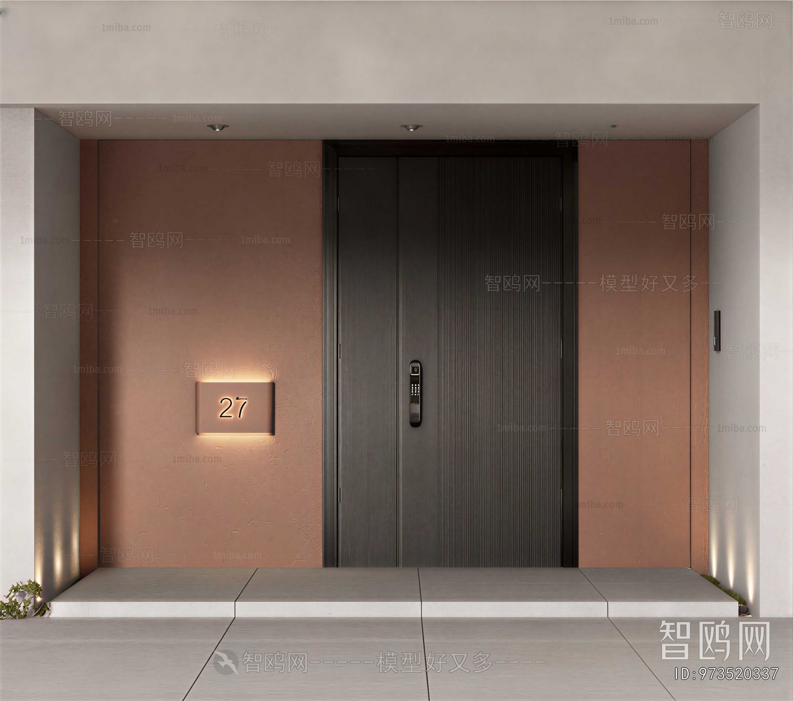 Modern Entrance Door